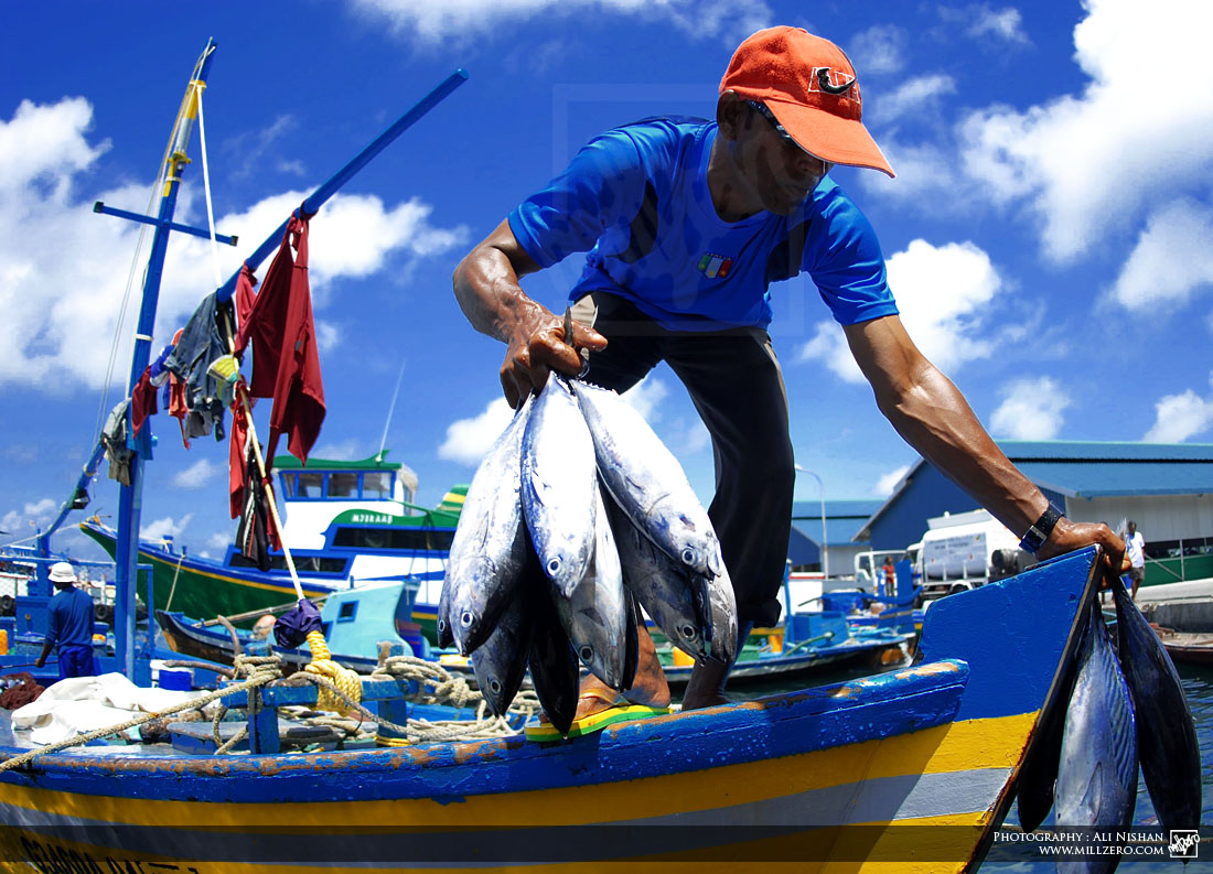 Comprar Pesca en USA desde Uruguay