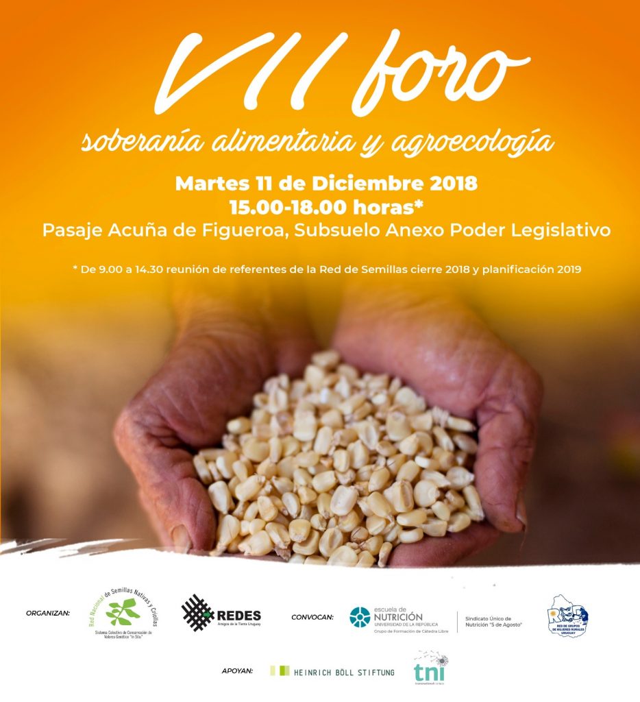VII Foro