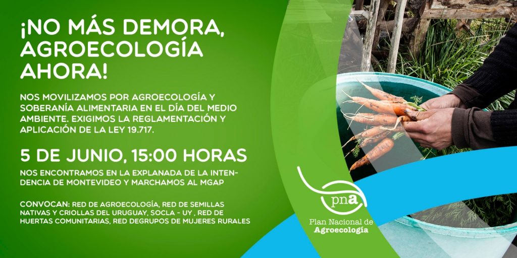 Actividad 5 de junio
