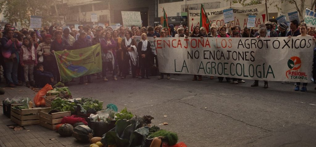 PNA 5 junio 2019