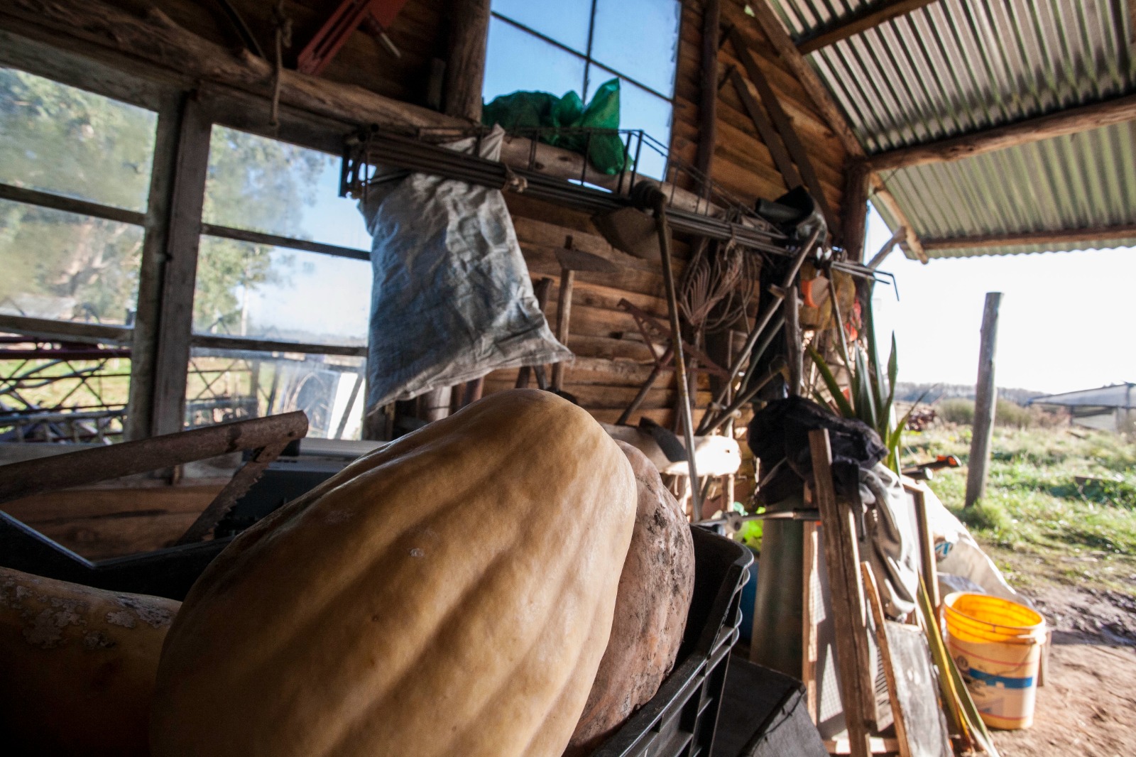 Comunicado por la tierra