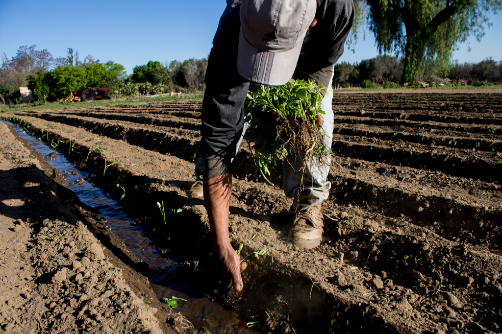 La profundidad de las crisis socioambientales exige un cambio de rumbo