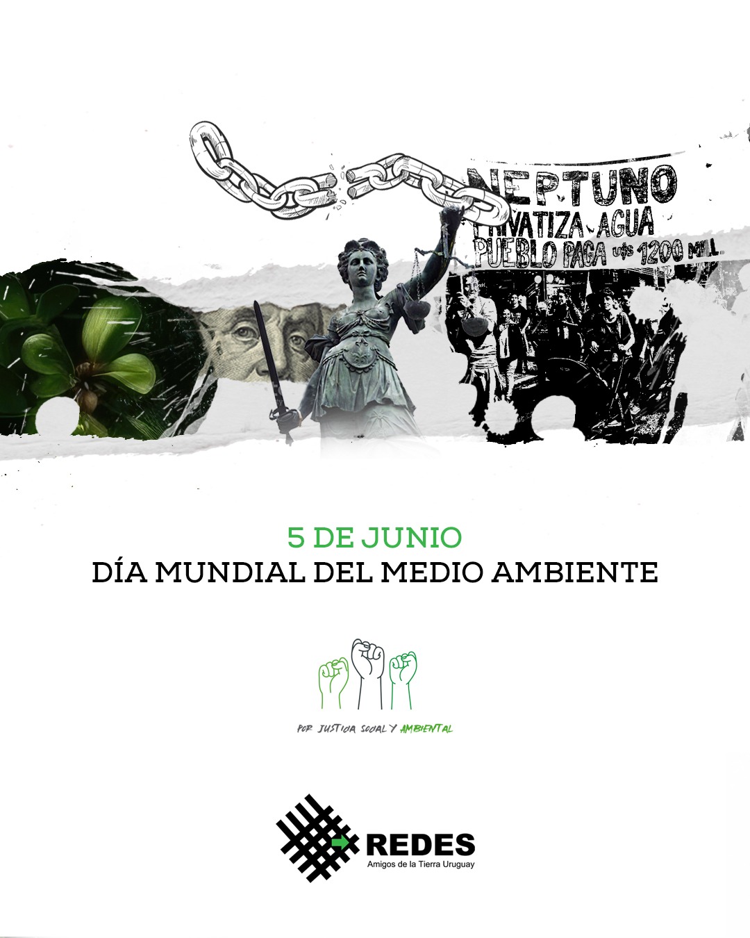 Medio Ambiente